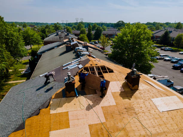 Quick and Trustworthy Emergency Roof Repair Services in Pine Grove, CA